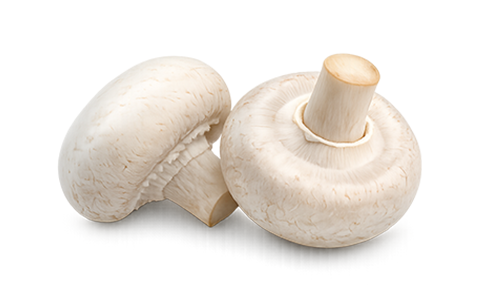Fresh Mushrooms